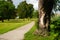 Empty gravel walk path with fresh green trees at day time for background with copy space. Pedestrian zone near lake and hills in