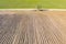 Empty green field, tree and road. Rural landscape and field cultivation