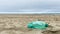 An empty green plastic bottle discarded on a beach. Coastal pollution