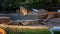 Empty Guest Swimming Pool At Australian Bush Tourist Park