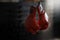 Empty, gym and boxing gloves for fitness, sports and training, wellness and healthy lifestyle. Protective, glove and