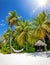 A empty hammock on a tropical beach with palm trees and fine sand on the Maldives