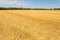 Empty harvested dutch grain field