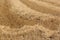 Empty harvested wheat field in late summer