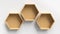 Empty hexagons wooden shelves