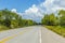 empty highway in america with trees and blue sky near New Orleans at Bayou de Lesaire