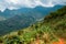 An empty hiking trail amidst trees in Uluguru Mountains in Morogoro Town, Tanzania