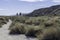 Empty hiking trail through the desert of the Coachella Valley Preserve