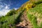 Empty hiking trail and hill