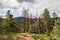 Empty hiking trail in the Paul Lake Provincial Park British Columbia Canada