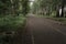 Empty hiking trail at spring park