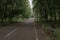 Empty hiking trail at spring park