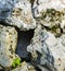 Empty hole between some big rocks with nothing inside empty animal home