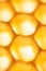 Empty honeycomb