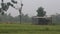 The empty hut in a cloudy morning