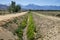 Empty Irrigation Channel