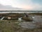 Empty landscape wooden path walkway west mersea pontoon jetty