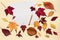 Empty lined page with pencil and colorful autumn leaves. Concept of back to school. Bright sunlight, beige background, flat lay,