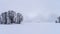 Empty lonely bench far away in white winter landscape with trees