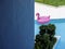 Empty lonely pink inflatable flamingo floating in modern pool.