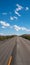 Empty long nevada mountain road to the horizon on a sunny summer day at bright sunset. vertical image for your reel and story