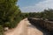Empty macadam and dusty road trough wilderness and forest of Croatian island Brac. Road trough nature with green forest