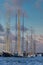 Empty Masts on Tall Sailboats in Harbor