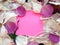 Empty message on pink sticky note with dry rose and orchid flower petals and silver jewelry ring and chain on wooden background