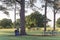 Empty metal picnic tables at beautiful park with a lot of trees at sunset in America