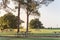 Empty metal picnic tables at beautiful park with a lot of trees at sunset in America