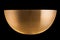 Empty metalic golden bowl, steel