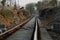 Empty meter gauge Railway track passing through woods and jungles