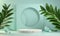 Empty Modern Minimal Display Stand With Tropic Branch Plant On Mint Abstract Background 3d Render