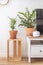 Empty modern scandi interior of living room potted plant furniture decor elements minimalistic home
