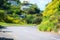 Empty mountain road in hilly suburbs of Wellington, New Zealand. Blooming shrubs and cozy villa houses deep in lush