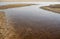 Empty mussel shells, lying on the sand