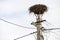 Empty nest of storks on an lamppost