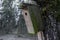 Empty nesting-box in the fir tree at early springs day