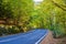 Empty, new curving asphalt road leading trough the deciduous woods