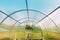 Empty New Greenhouse In Vegetable Garden Or Hothouse Or Greenhouse. Early Spring