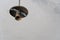 an empty old electric cartridge without a light bulb hangs from the ceiling of an empty apartment. Repair in the apartment,