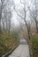 Empty old stairway in misty park. Serene depressed foggy landscape