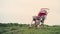 Empty old stroller in a field against the sky, a baby carriage without a child