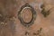 Empty oval bronze photo frame and twigs of dried flowers on decorative brown backdrop.