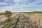 Empty Overgrown Railway Tracks in Canadian Prairie