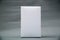 Empty Package white cardboard box or tray for product on grey b