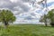 Empty paddock in a lush green pasture