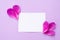 Empty paper piece note with bright magenta petals on pink background