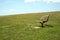 Empty park bench