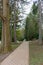 Empty path in beautiful park. Garden landscape. Spring park background. Empty lane and avenue among trees and woods.